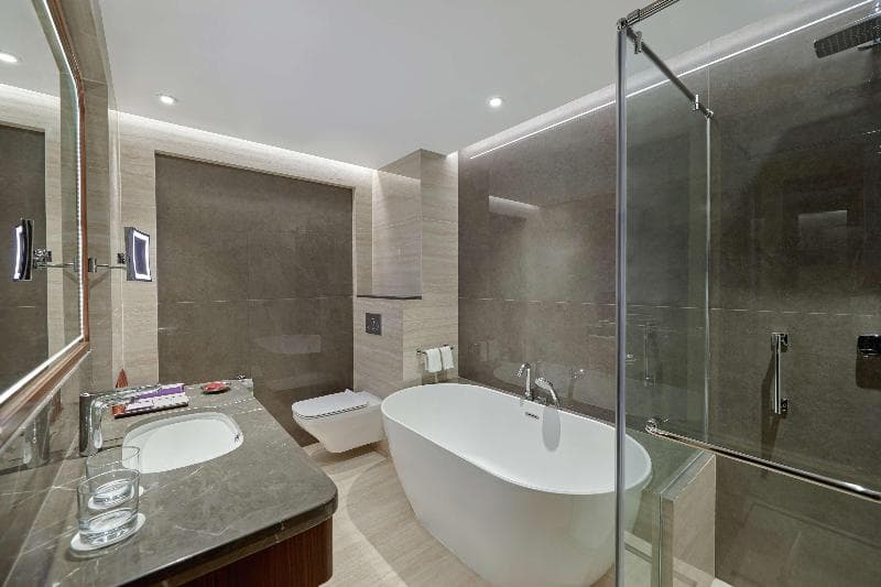 Deluxe Room — Nile View